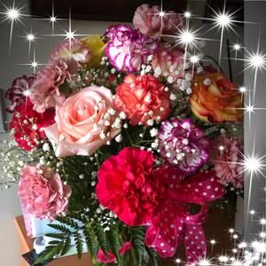 Meet your Posher, Stephie